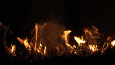 incendio forestal en la noche