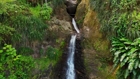 imágenes de drones siguiendo la cascada desde la piscina hasta la fuente del agua de la montaña