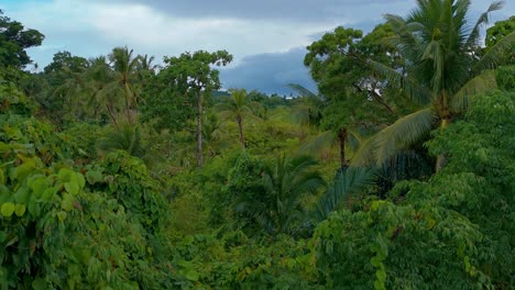 A-cinematic-parallax-of-a-dense-jungle-in-Surigao-Del-Norte,-with-moody-cloudy-skies