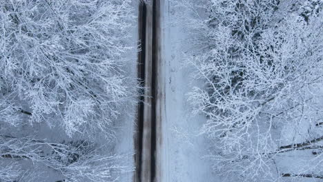 empty asphalt road at remote snowscape forest in the county of deby, poland