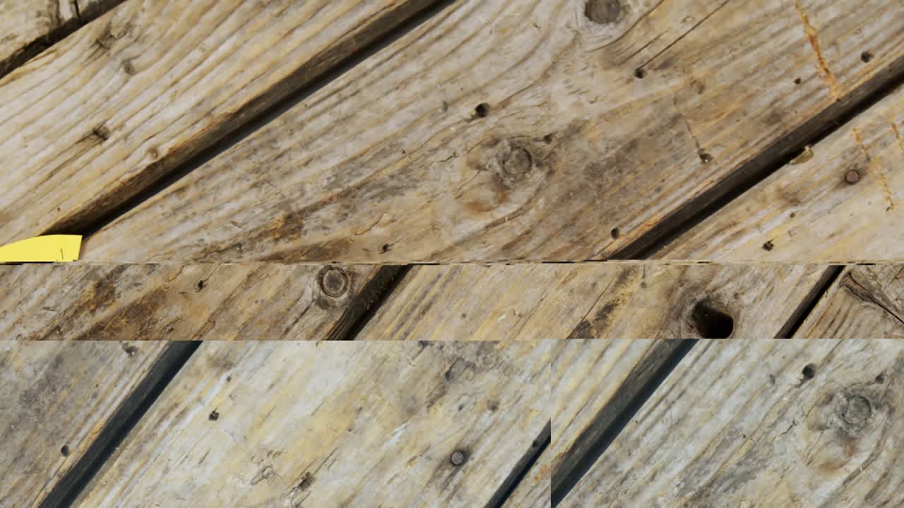 Cupcakes, spectacles, card, bow tie and spectacles on wooden plank