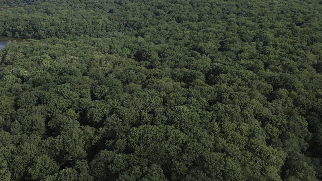 vista desde arriba del trémelin francés o del lago tremelin en bretaña, francia