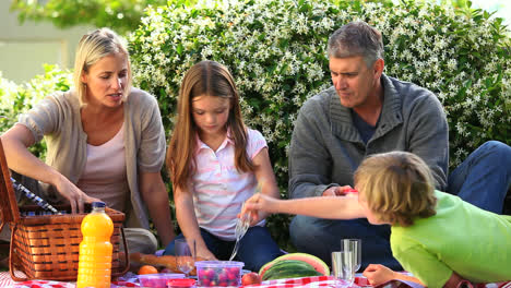 Family-picnic-in-garden