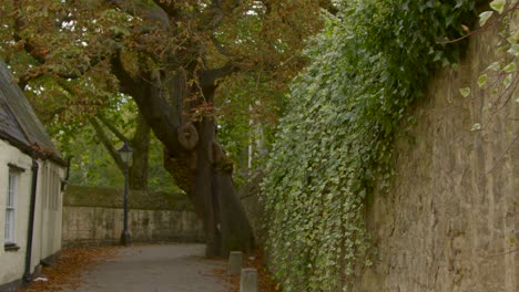 tracking shot of scenic alleyway in oxford england