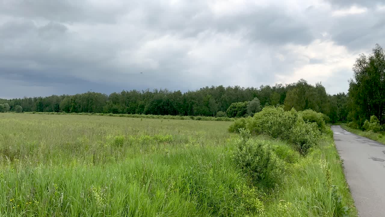 Rainy weather with a view of the forest in the vicinity of dachas (4K60)