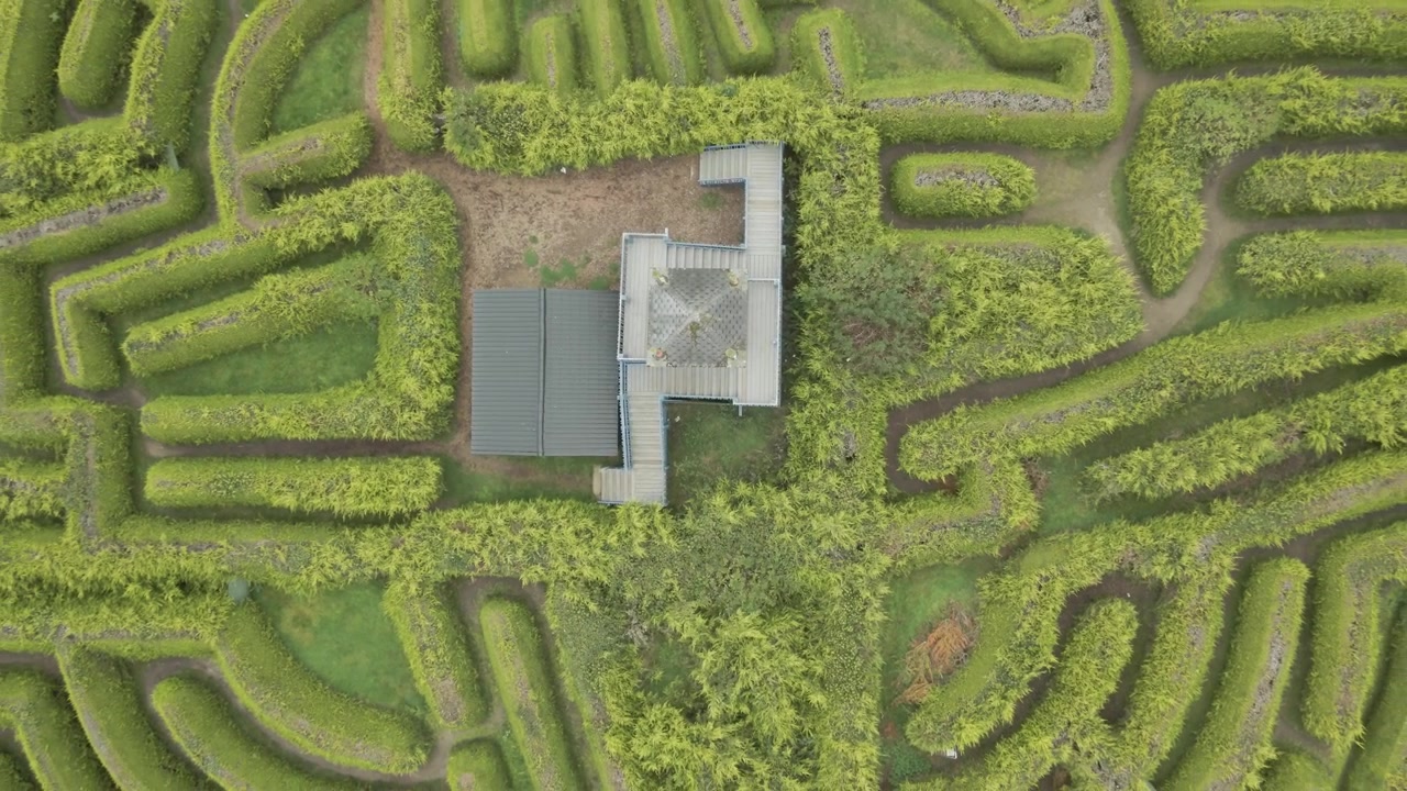 Labirinto di Kildare in Irlanda circondato da siepi verdi lussureggianti e sentieri tortuosi, vista aerea.