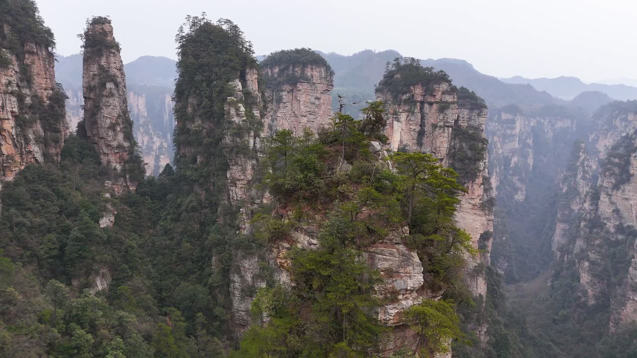 Aerial drone footage capturing the majestic rock pillars of Zhangjiajie, China, rising above lush forests, showcasing the iconic landscape that inspired Avatar