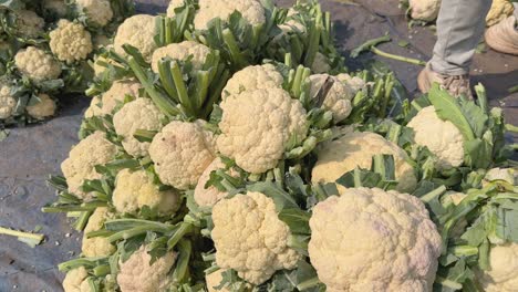 A huge pile of culiflower at the vegitable market