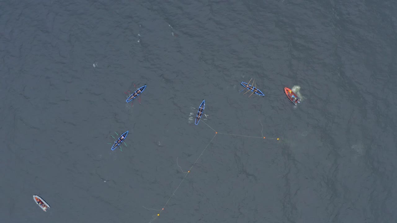 Drone overview of currach boats racing and turning around buoys in open ocean