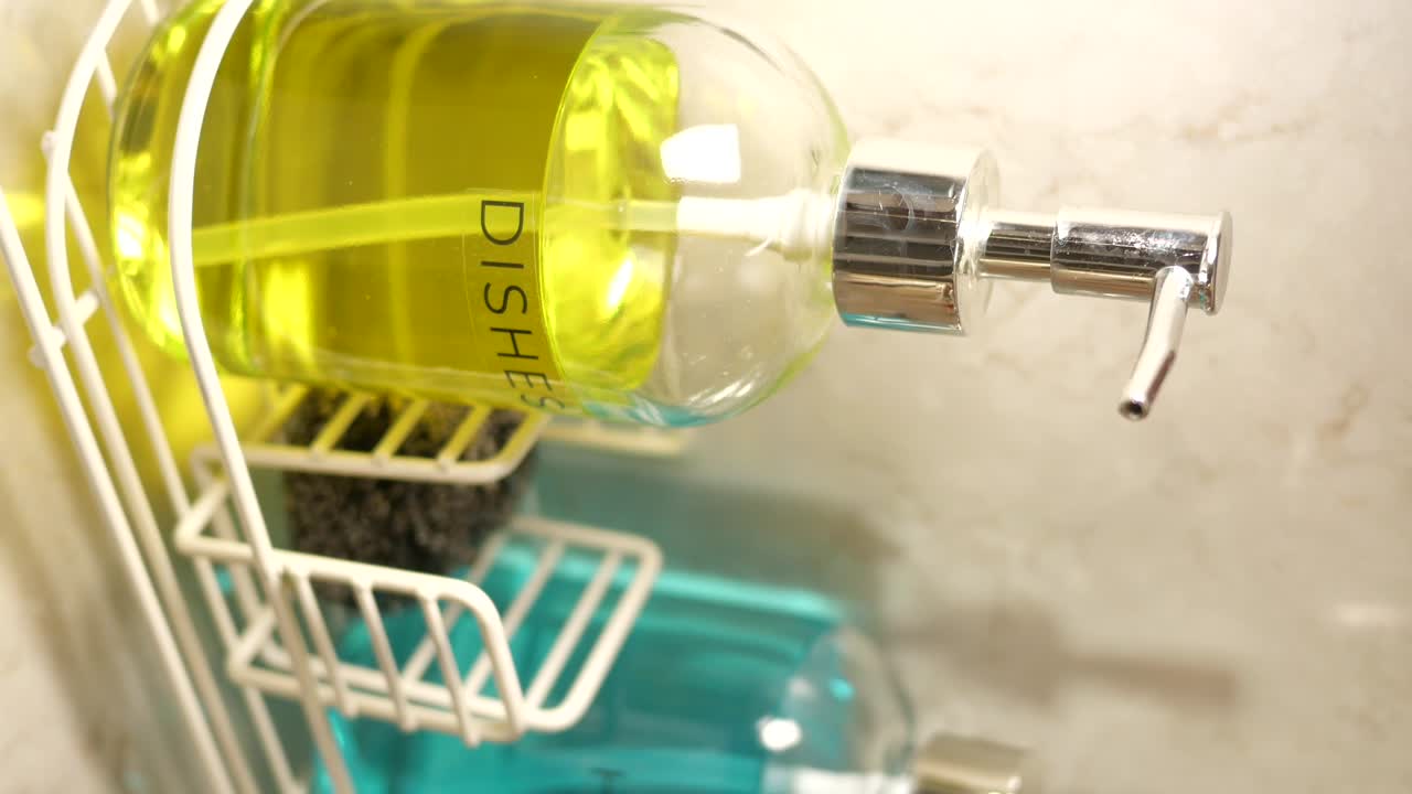 Dish and Hand Soap Dispenser