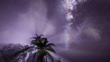 milky way galaxy over tropical rainforest.