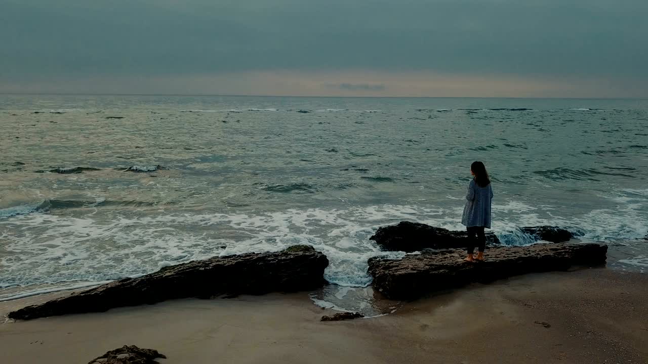 hombre haciendo una propuesta a su novia enviando un perro husky con anillo compromiso en la playa