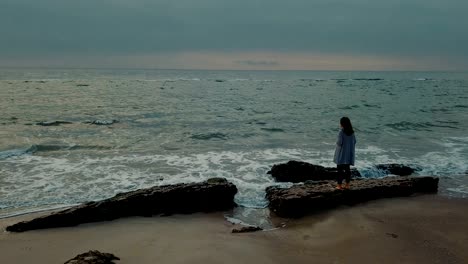 man making proposal to his girlfriend sending husky dog with ring. engagement on beach