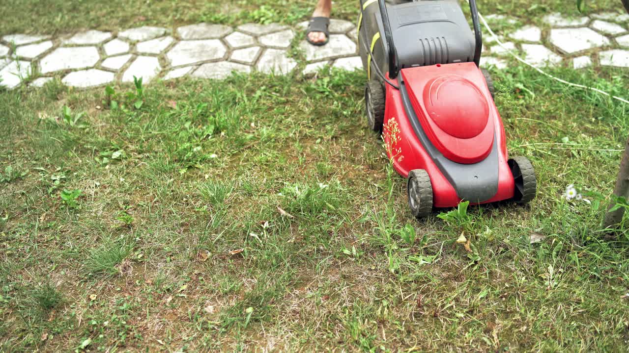 little boy mowing the lawn on a bright summer day, close-up