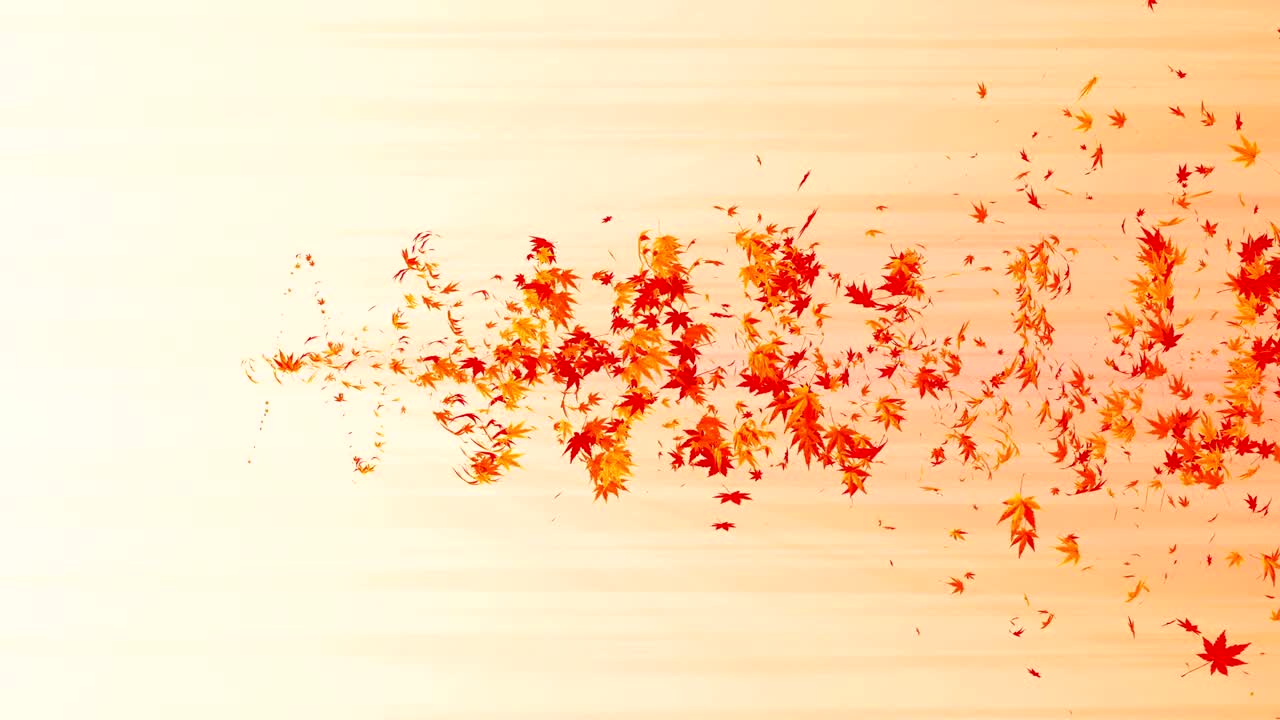 다채로운 메이플과 잎에서 나온 소용돌이, 가을 잎의 나선형 반이는 입자, 춤추는 잎, 다채로운 자연 터널 루프 애니메이션.