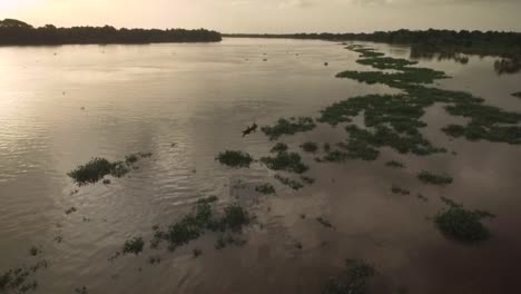 Vista-De-Drones-De-Una-Pequeña-Canoa-Indígena-Cruzando-Un-Montículo-De-Algas-Flotantes-En-El-Río-Orinoco-Durante-La-Hora-Dorada