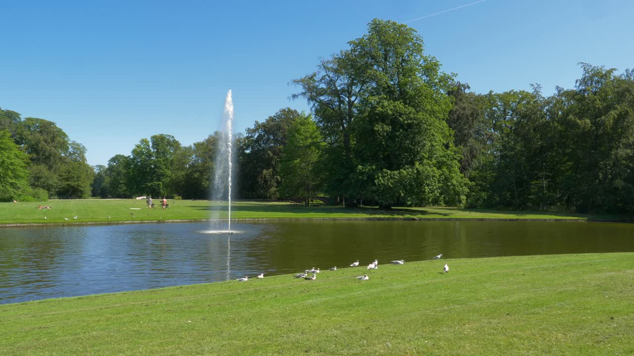 A water fountain in a green nature park on a summer day