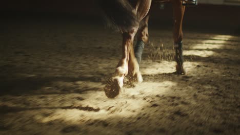 footage of horse's legs running through stable.
