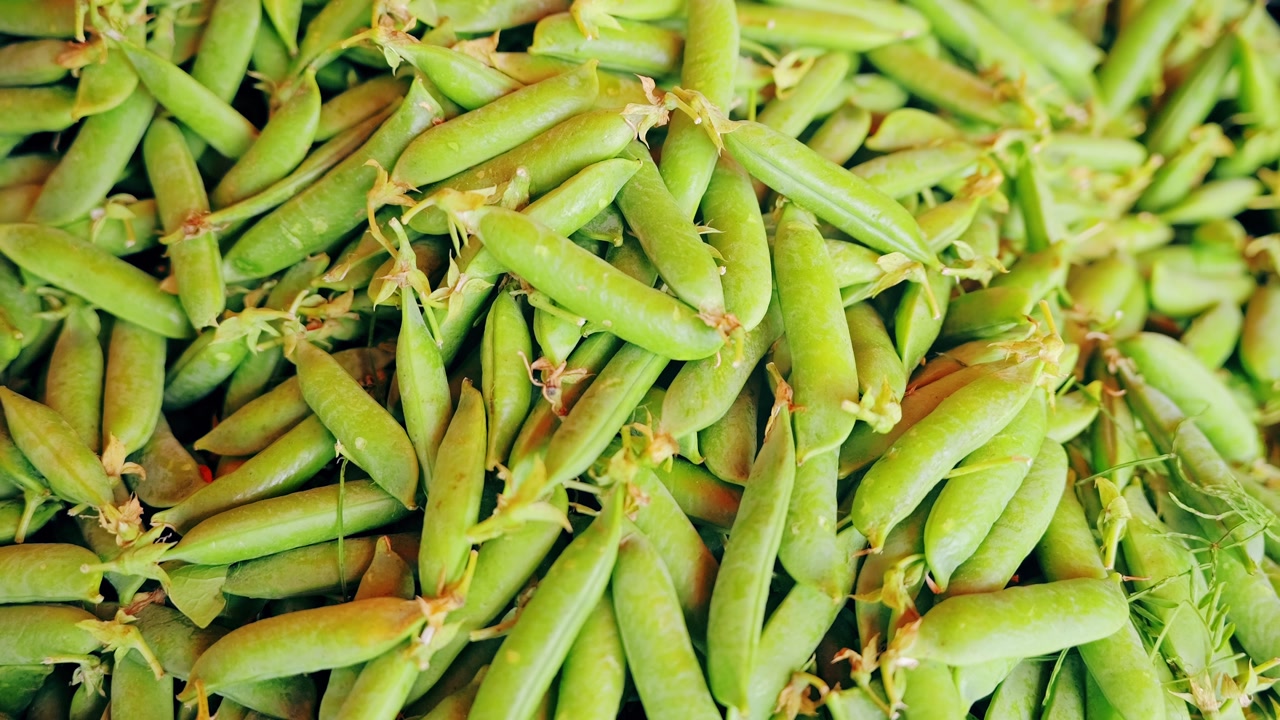Detailed macro of crisp legumes, freshness, nutrition, and summer harvest