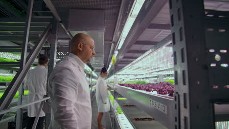 team work of scientists and farmers men and women using modern technology and hydroponics. the business of growing vegetables and salads in a bad environment. the concept of eco-friendly products.