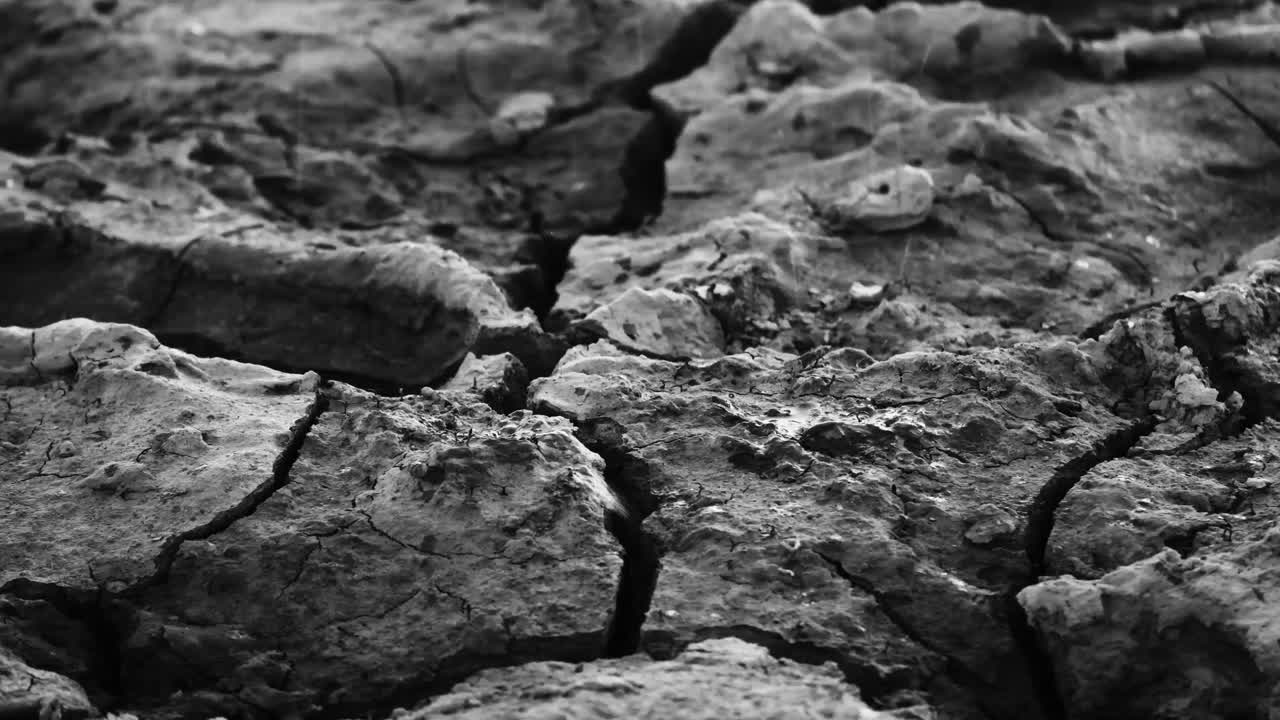 건조한 은 땅, 가운 비, 기후 변화, 환경