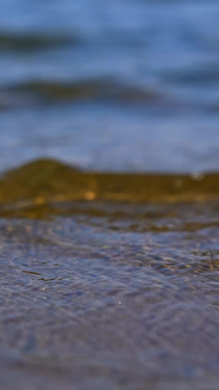 Onde lente si infrangono sulla riva sabbiosa. Vista ravvicinata sulla sponda del fiume in una giornata di sole. Video verticale.
