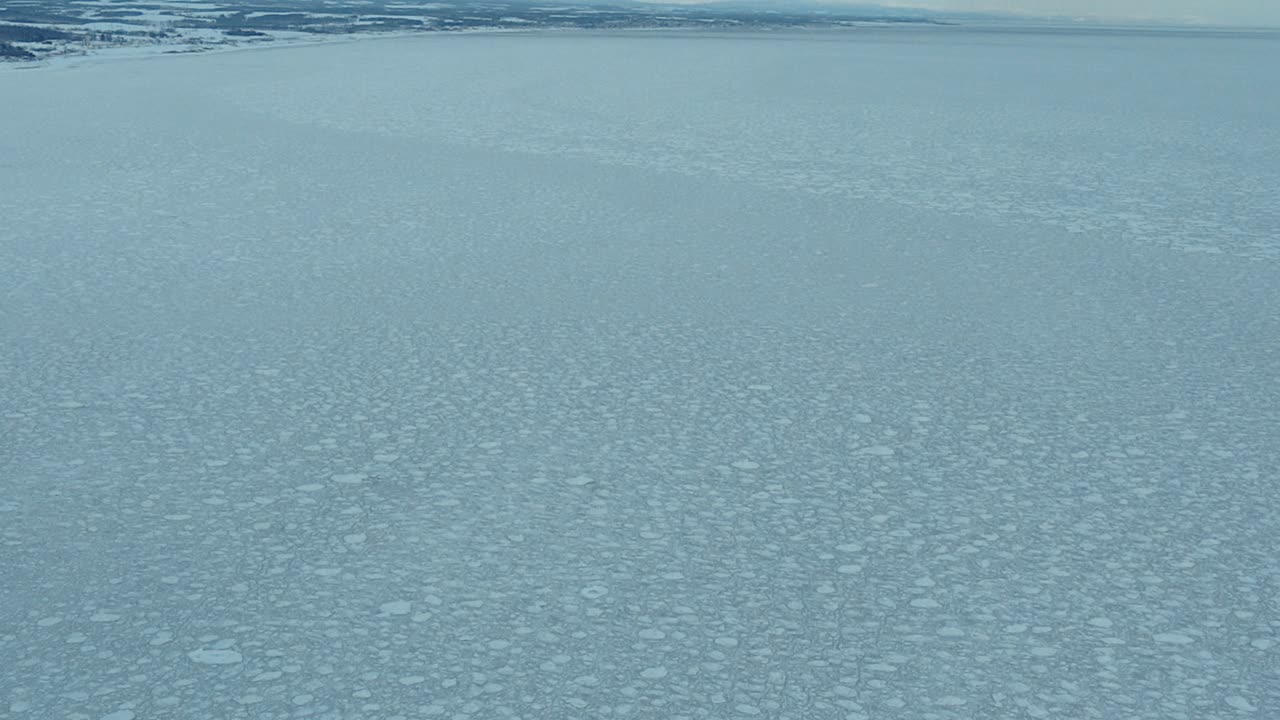 홋카이도 오프 오호츠크 해의 광대 한 얼음 표류 위의 공중