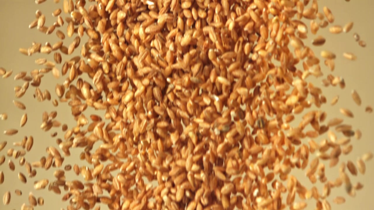 Chicchi di grano dorati che cadono al rallentatore.