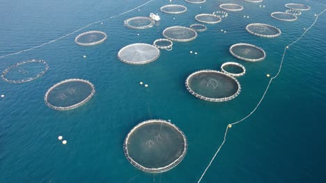 Luftaufnahmen-Aus-Der-Schnellen-Umlaufbahn-Von-Netzkäfigen-Für-Wolfsbarsch,-Dorade-Und-Andere-Meeresfrüchtearten-In-Der-Riesigen-Fischfarm-Im-Mittelmeer