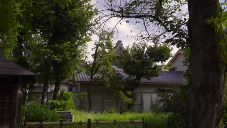 Vista-Espeluznante-En-El-Patio-Trasero-De-La-Naturaleza-Japonesa-Con-Edificios-De-Arquitectura-Típica-En-Un-Día-Ventoso