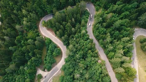 Bird's-eye-view-with-a-sideways-movement-of-a-winding-road-inside-a-forest-and-cars-passing-by
