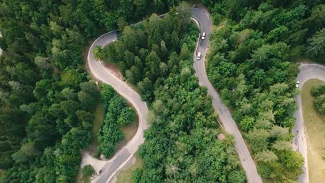vista de pájaro con un movimiento lateral de un camino sinuoso dentro de un bosque y coches que pasan