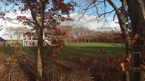 Aerial-slow-forward-movement-through-trees-with-autumn-coloured-leafs-towards-a-grass-meadow-lit-by-a-Dutch-afternoon-low-winter-sun-against-a-blue-sky-with-clouds