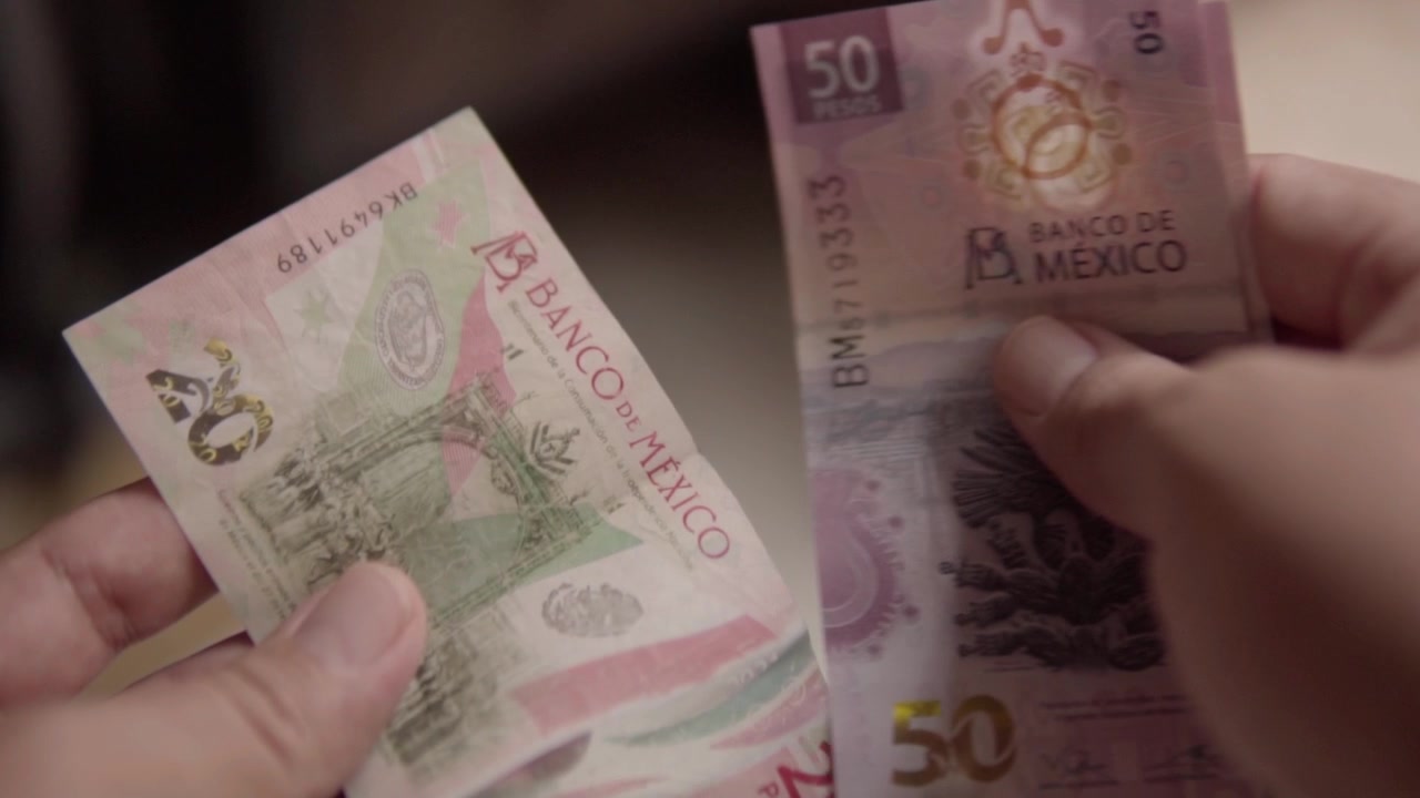 Nakit işlem sırasında Meksika pezosu banknotlarını sayan eller. Ödeme, bütçeleme, finans, harcama, tasarruf veya günlük iş kullanımı için para kullanımını gösteren yakın çekim.