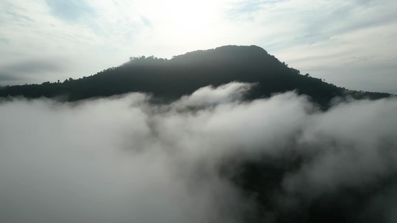 아리엘 드론 뷰 안개가 가득한 아침 해가 지고 푸른 숲이 세메파디 해안 도로 링크 사라와크, 보르네오에 있습니다.