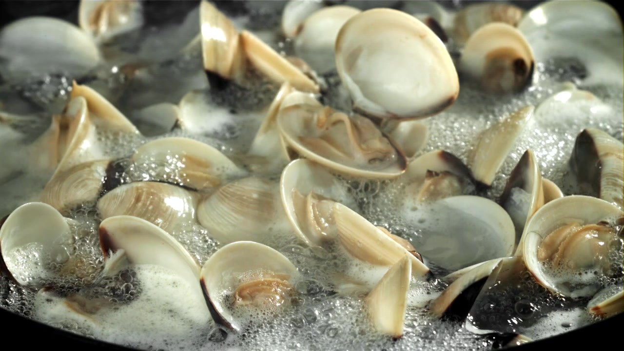 Close-up of Fresh Clams Cooking and Opening in Boiling Water