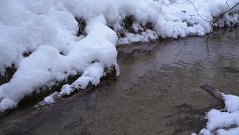 arroyo en invierno
