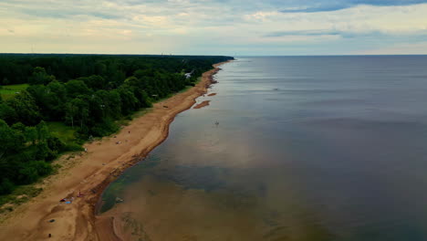 aerial shot of a tropical forest situated beside a sea with cumulus clouds on sky