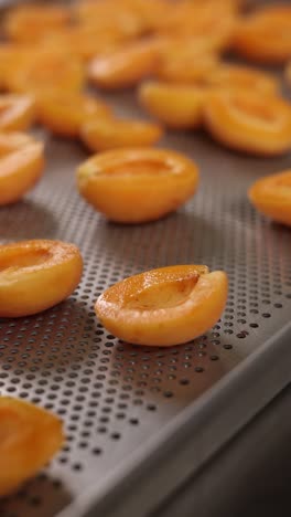 dried apricots on a metal tray