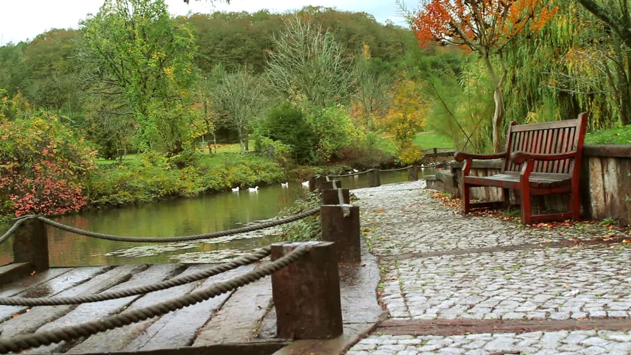 공원 숲에서 산책하는 가을 개념