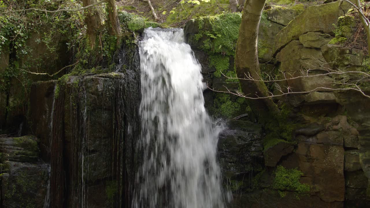 en medio de la toma mirando directamente a las cascadas de lumsdale con rocas y árboles en lumsdale, matlock