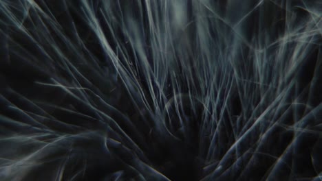 macro shot of a windscreen of a shotgun microphone, furry cover close up, camera gear, sound record equipment, slow motion 120 fps, full hd, pan down smooth movement