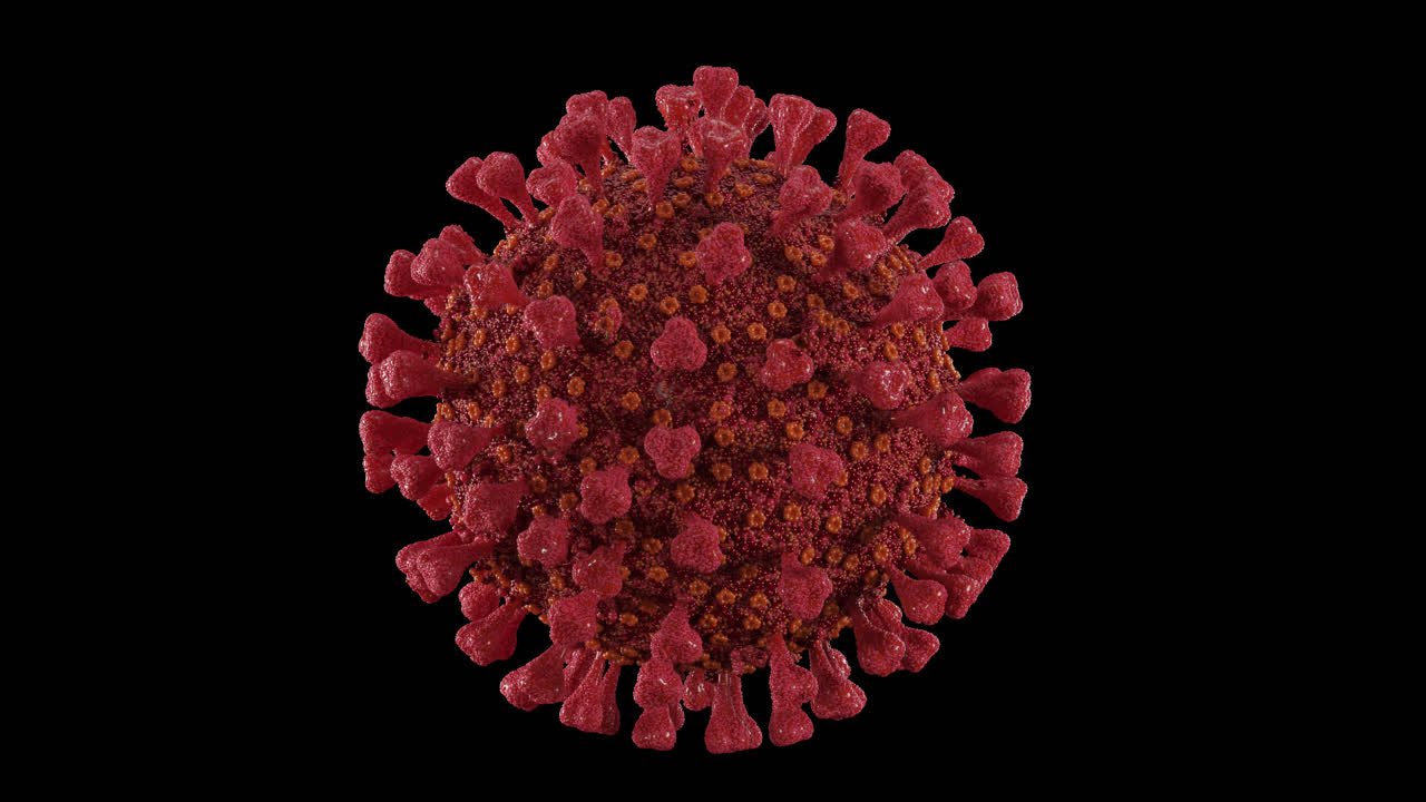 крутящийся красный коронавирус с альфа-каналом
