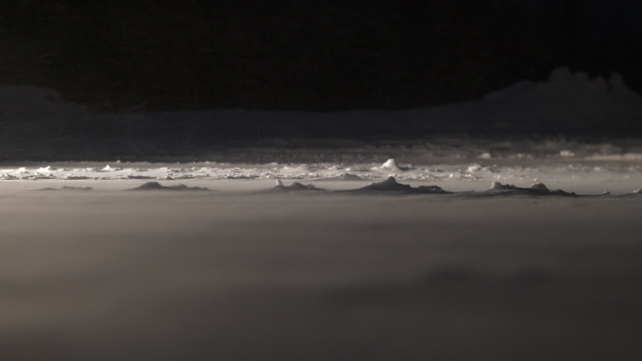 ветер сдувает частицы снега в холодную зимнюю ночь, создавая ощущение наступления ледникового периода