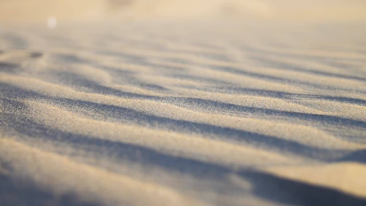 Slowmotion footage of sand grains in desert while the wind is blowing.