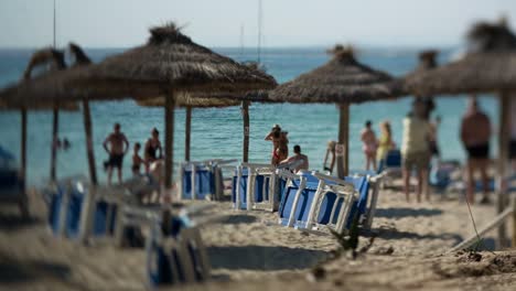 Deckchairs-Beach-00