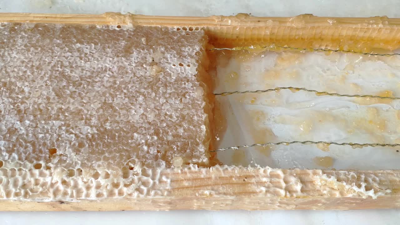 Panning shot left to right of a bee hive comb frame