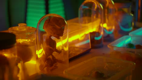 alien specimens in a laboratory setting