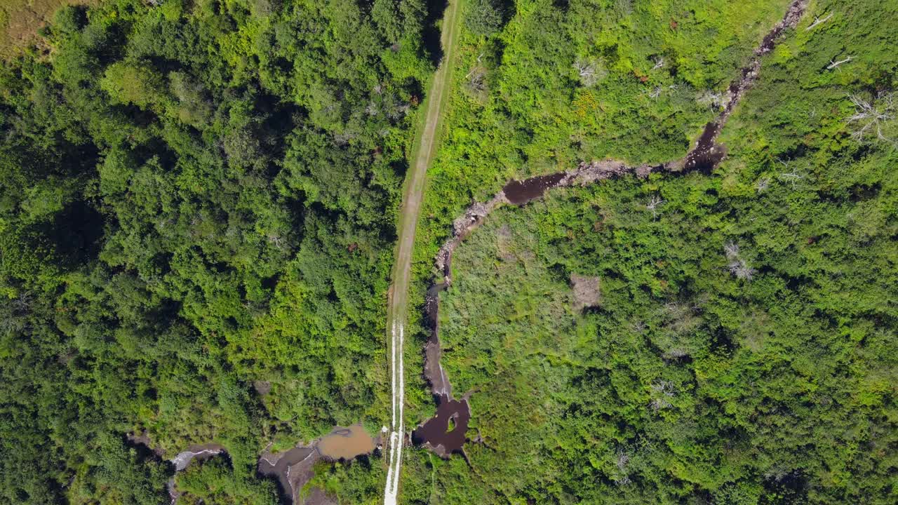 una vista de arriba hacia abajo desde un dron de un camino de tierra que pasa por un área pantanosa