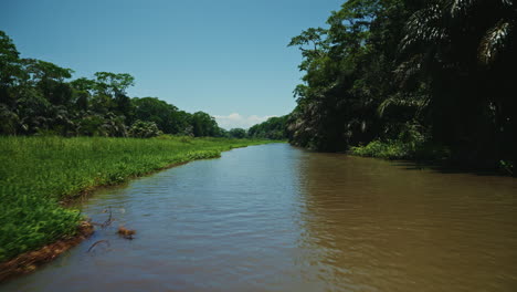 navigating through the canals of tortuguero national park in costa rica. panoramic view of the green lush vegetation and the rainforest. natural reserve for wildlife and biodiversity.